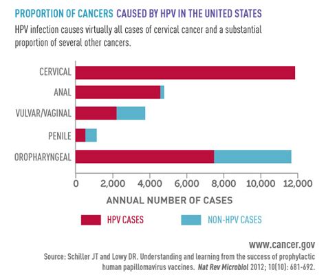 Hpv Graph Infographic Proportion Of Cancers Caused By Hpv Flickr