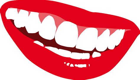 Lips Mouth Smile Transparent Png Download