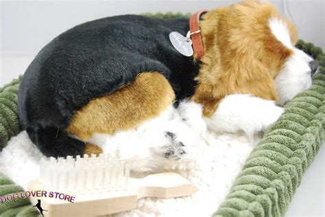 Y s p o n s s o r 0 e d l 4 y 4 l z a. Beagle Life Like Stuffed Animal Breathing Dog Perfect Petzzz | eBay