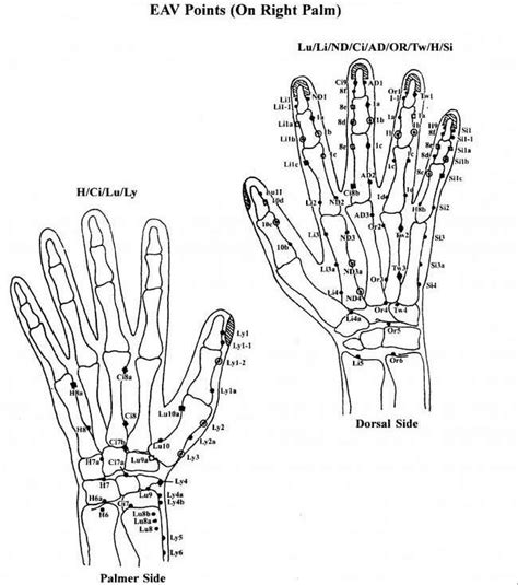 Right Hand Points As Per Eav Electro Acupuncture By Dr Voll Acupressure Acupressure