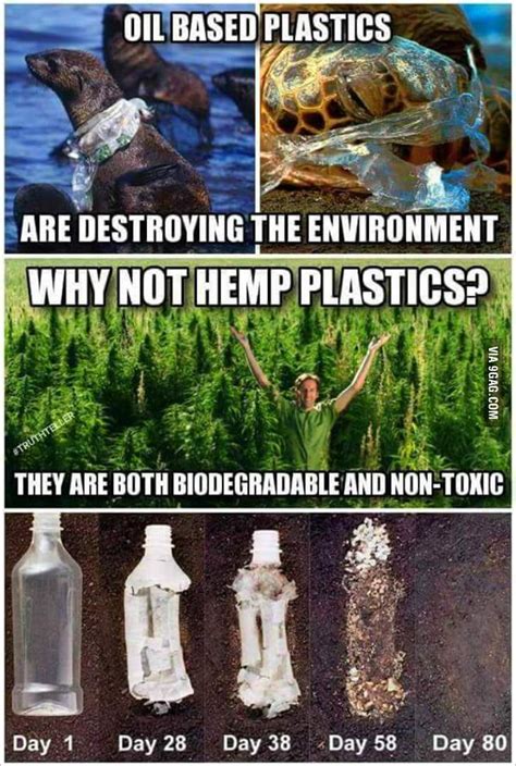 Plastic Pollution Could Be So Easily Avoided 9gag