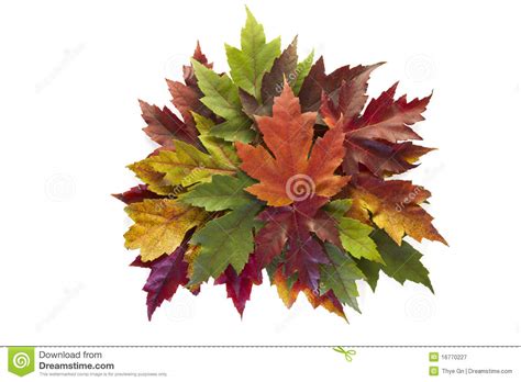 Maple Leaves Mixed Fall Colors Autumn Wreath Royalty Free