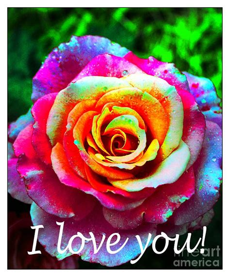 I Love You Pink Rose Greetings 2 Photograph By Barbara Griffin