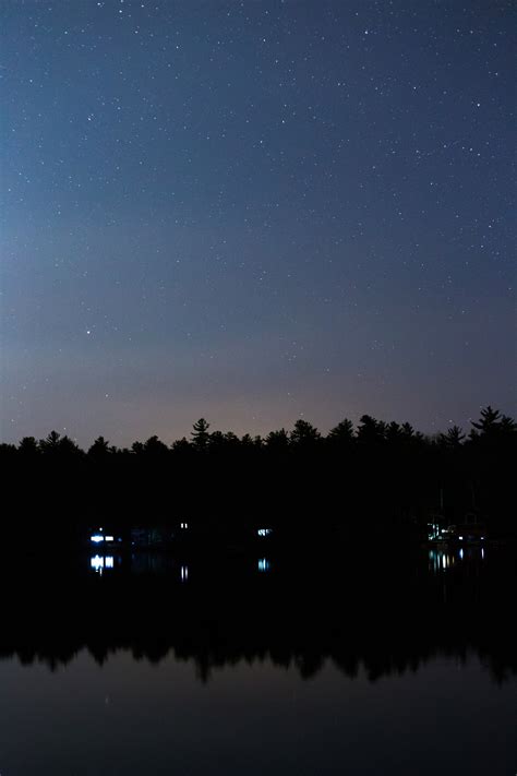 Silhouette Of Trees Reflecting On Body Of Water Under Starry Night