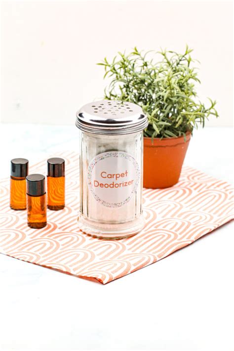 How To Make Your Own Diy Carpet Deodorizer For Stinky Carpets