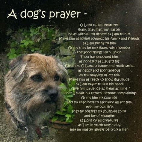 Catholic Prayer For Pets Who Have Died The Main Reason Why Prayer For