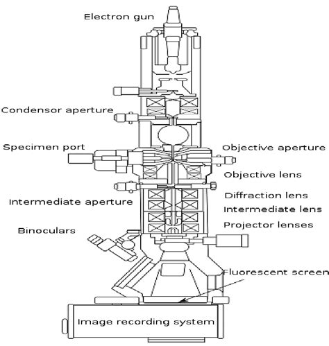 5 Schematic Illustration Of Different Components In A Tem Microscope