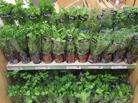 Excluding vegetables and other plants consumed for macronutrients. How to Keep Your Supermarket Herbs Growing Longer