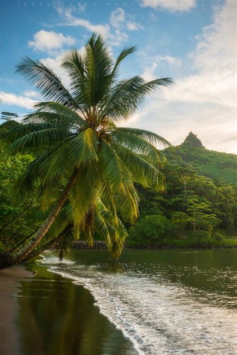 Naveen Maurya Tahiti Nature Scenery
