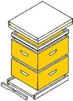 Modern beekeeping attempts to revert to a less industrialized way of obtaining honey by utilizing smaller colonies, usually between 10,000 and 30,000 bees and the whole operation is based around the hive. Langstroth beehive | Bee keeping, Bee hive plans, Bee hive