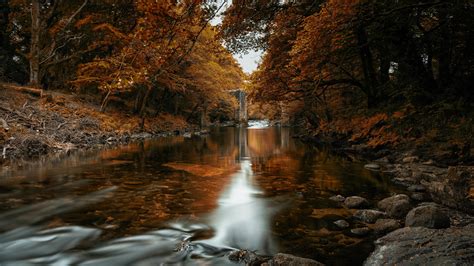 Fall In The River In Autumn Trees Forest K Hd Nature Wallpapers Hd Wallpapers Id