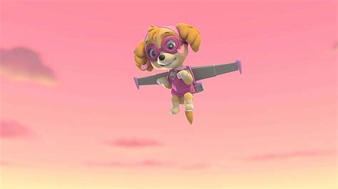 Watch Paw Patrol Season 2 Episode 8 Pups Save An Acepups Save A