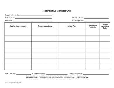 Free 21 Corrective Action Form Examples In Pdf Word