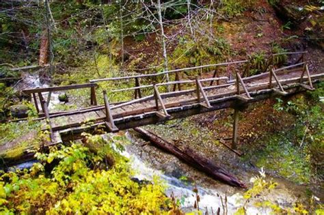 Platinum Creek Crossing Hiking In Portland Oregon And Washington