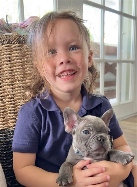 🐶💝 My Granddaughter Maddie Gives All The Frenchies Hugs And Kisses Every