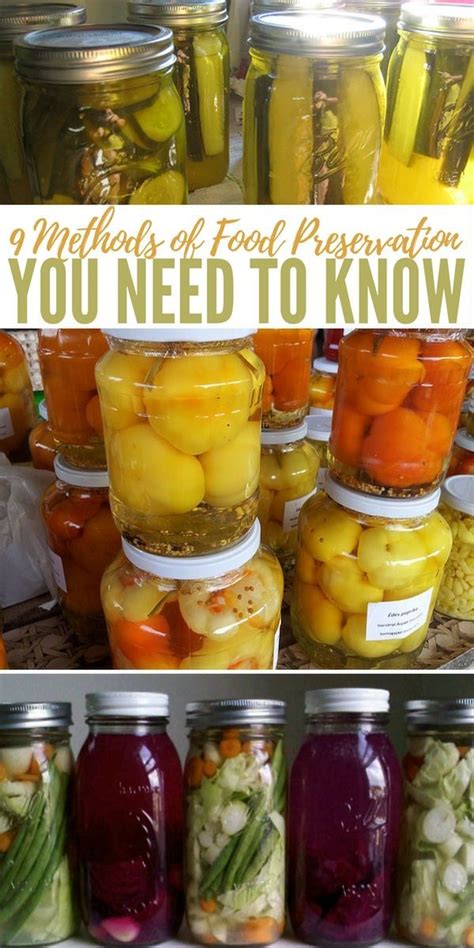 9 Methods Of Food Preservation You Need To Know Methods Of Food
