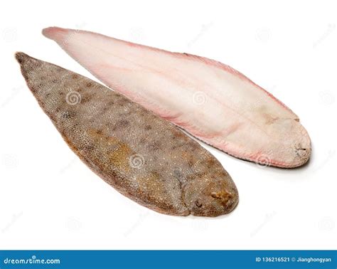 Sole Fish Stock Image Image Of Product Sole Fish 136216521