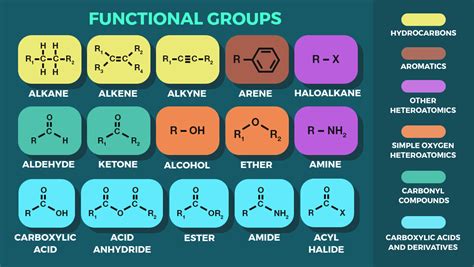 Functional Groups In Phospholipids Table Of Functional Group