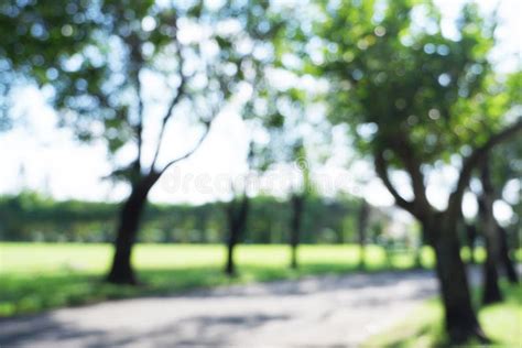 Blurred Background Of Natural Tree In Park With Sidewalk Stock Photo