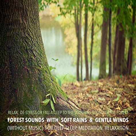 Forest Sounds With Soft Rains And Gentle Winds Without Music For Deep