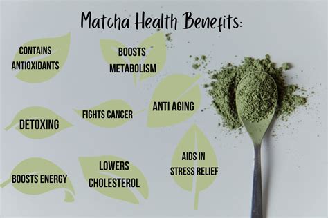 Eight Health Benefits Of Matcha Green Tea Powder Full Leaf Tea Company