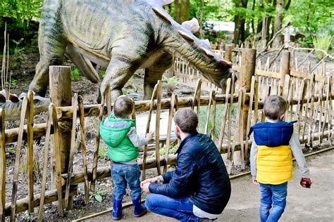 A Saturday Spent At Paradise Wildlife Park Their New World Of