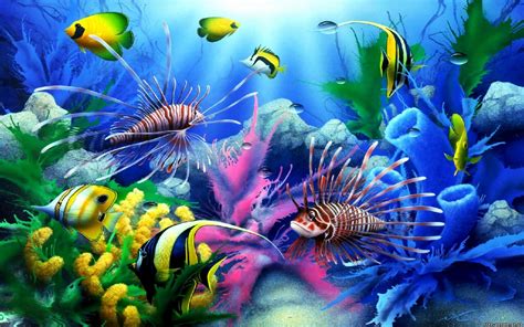 Free Download Pics Photos Tropical Fish Wallpaper For Desktop Sfondo
