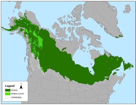 Frontiers The State Of Conservation In North Americas Boreal Forest