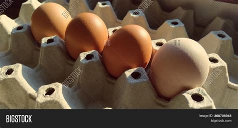 Chicken Eggs Carton Image And Photo Free Trial Bigstock