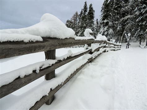 Getting Your Fence Ready For Winter