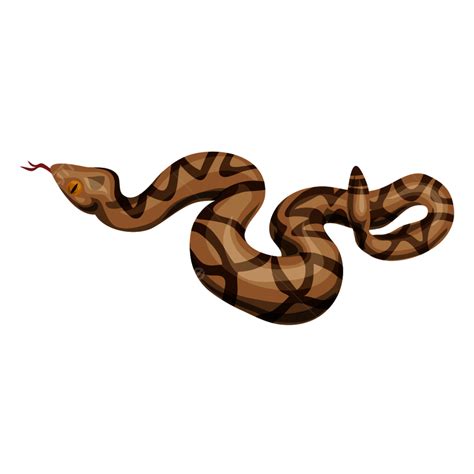 Rattlesnake Icon Png Vector Psd And Clipart With Transparent