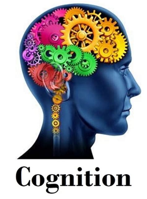 Psychology Basics Cognition And Intelligence Hubpages
