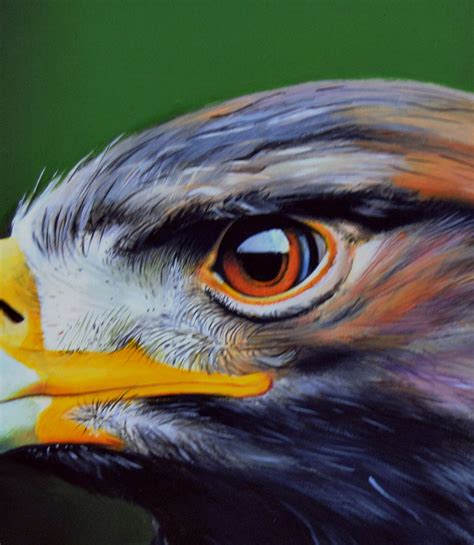 Falcon Painting Oil On Canvas Original And Handmade Wild Etsy