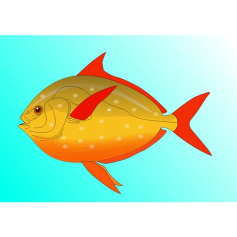 Fish Vector Art Free Svg