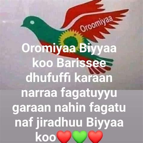 Oromiyaa Biyyaa Koo