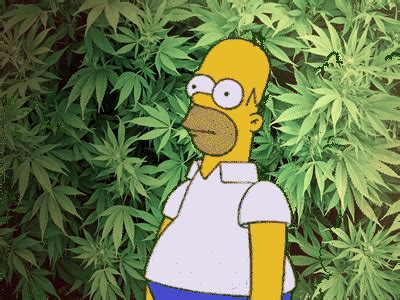 Also 420 transparent happy available at png transparent variant. Homer Returning Back to his Pot | Homer Backs Into Things ...