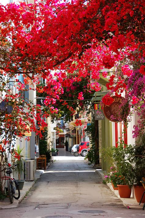 Some Of The Worlds Most Magical Streets Shaded By Flowers And Trees