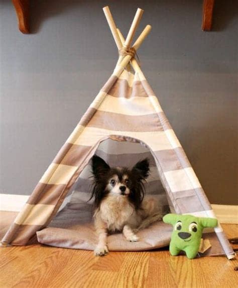 20 Diy Crafts For Dogs Your Pooch Will Love The Crafty Blog Stalker