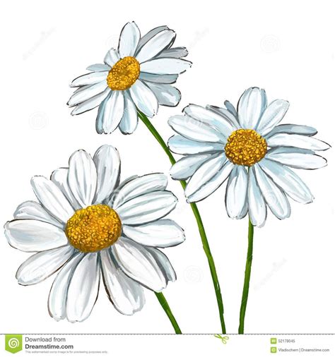 Daisy Sketch Watercolor Google Search Daisy Painting Daisy Flower