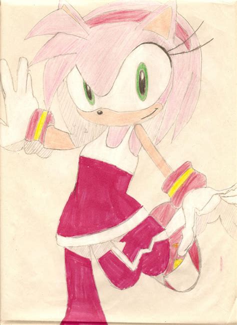 Sonic Riders Fanart Amy Rose By Jazzthechameleon On Deviantart