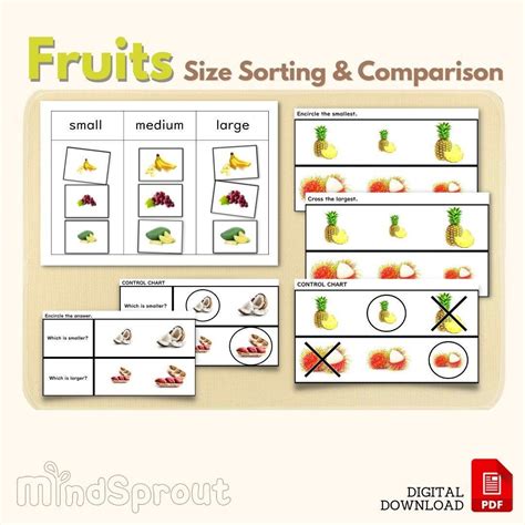 Small Medium Large Sizes Sorting And Comparing Fruits Etsy In 2022