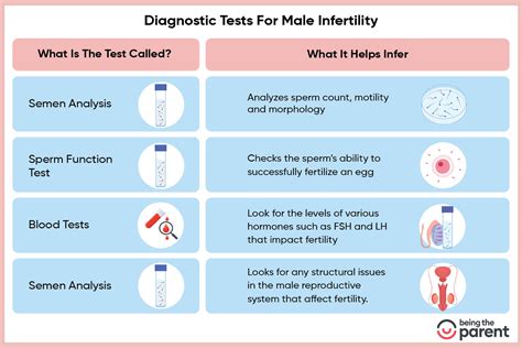 Diagnostic Tests For Male Infertility When To Consider Tips And List