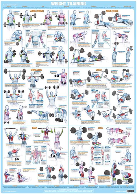 Weight Training Exercise Chart Series Uk Office Products