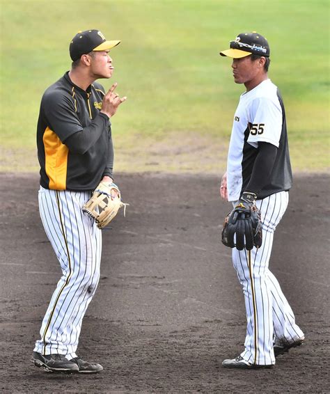 ご迷惑をおかけいたしますが、ご理解とご協力を賜りますようお願い申し上げます。 中止（会期変更）となる展覧会、イベント等 「佐藤可士和展」（～4/24まで開催） 「第107回 光風会展 (主催：一般社団法人 光風会)」（～4/24まで開催） 「第98回 春陽展 (主催： 阪神佐藤輝明の三塁起用に現実味 矢野監督が言及 - プロ野球 ...
