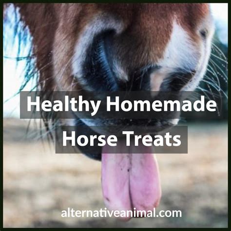 Healthy Homemade Horse Treats Alternative Animal
