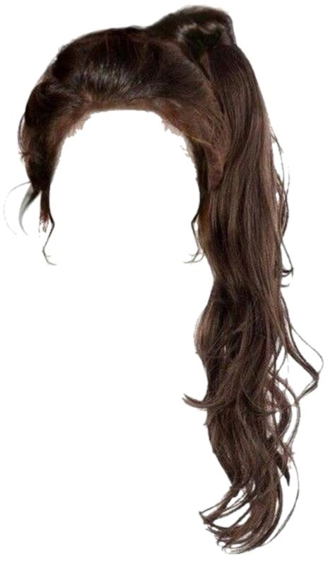 hair ponytail brunette brown brownhair hairup hairstyle... png image