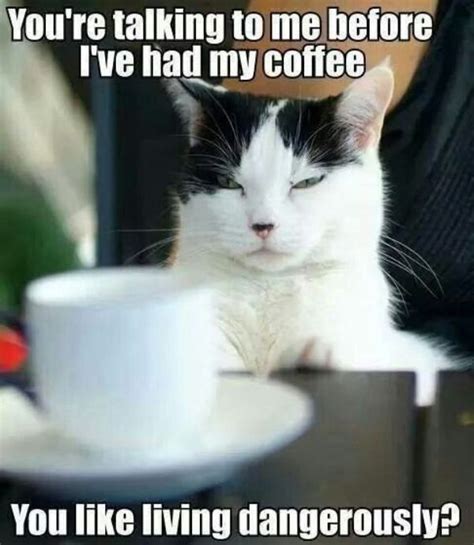 96 Great Coffee Memes For Coffee Lovers Funny Memes