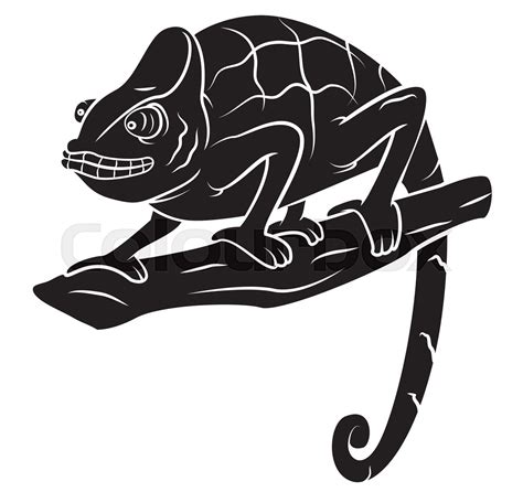 Black Silhouette Chameleon Stock Vector Colourbox