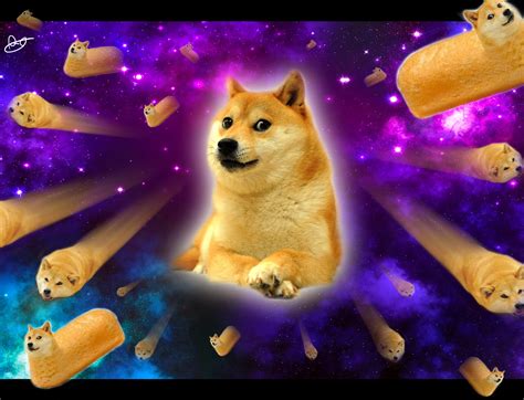 Free Download Background Doge 2 By Michael Gillett Wallpapers