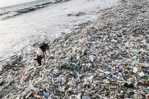 These 5 Countries Are The Biggest Plastic Polluters Audubon